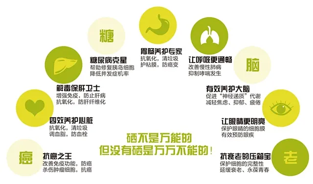 图片1-5.png